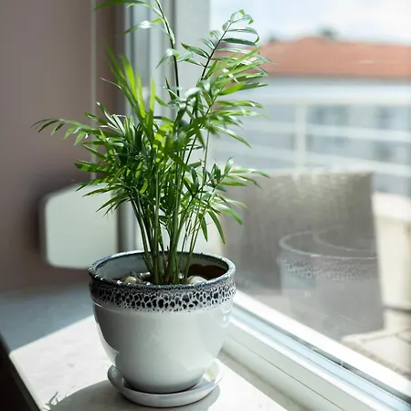 Mdm Center Apartment Ruse